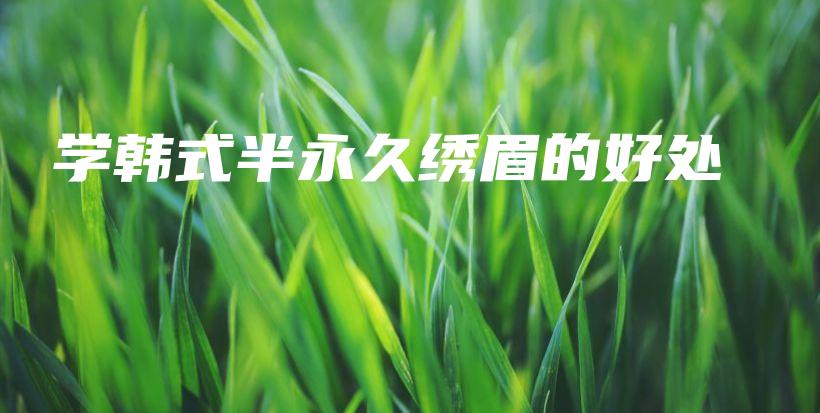 学韩式半永久绣眉的好处插图