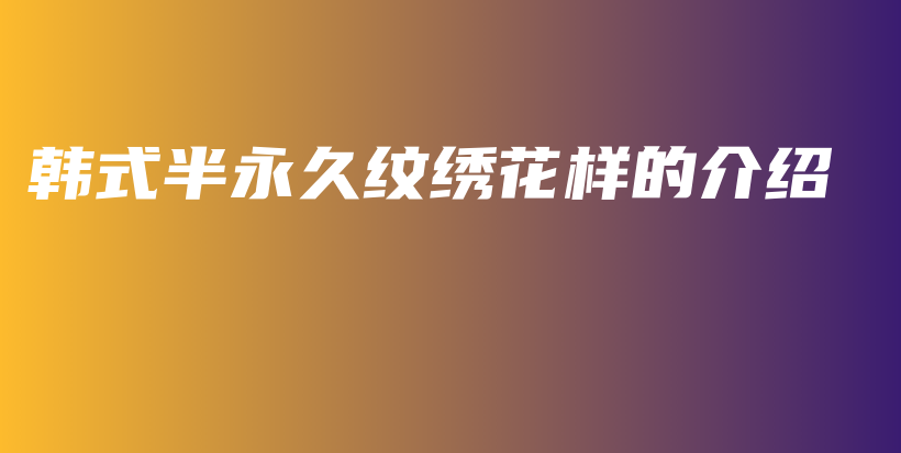 韩式半永久纹绣花样的介绍插图