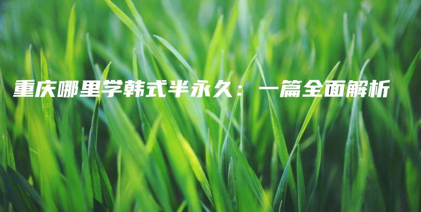 重庆哪里学韩式半永久：一篇全面解析插图