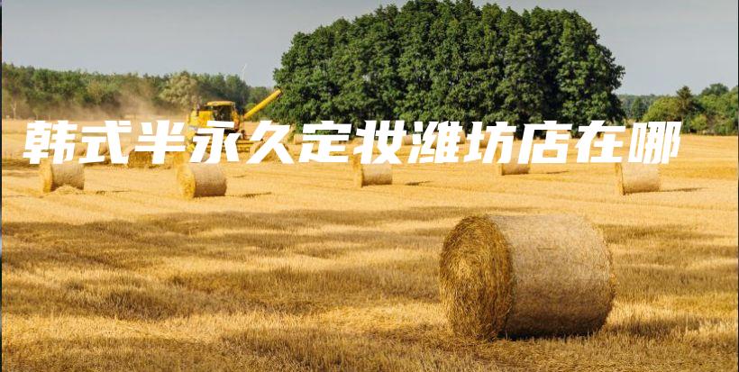 韩式半永久定妆潍坊店在哪插图