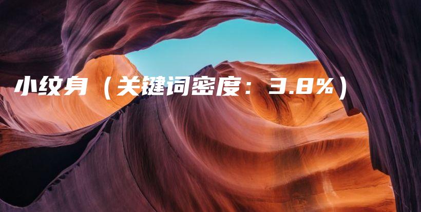 小纹身（关键词密度：3.8%）插图