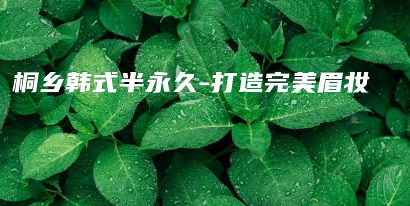 桐乡韩式半永久-打造完美眉妆插图