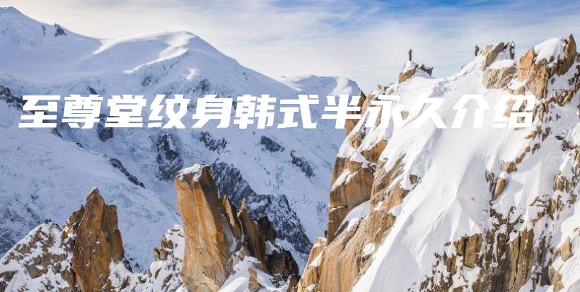 至尊堂纹身韩式半永久介绍插图