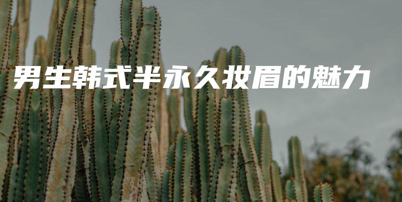 男生韩式半永久妆眉的魅力插图