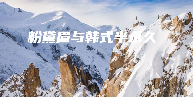 粉黛眉与韩式半永久插图