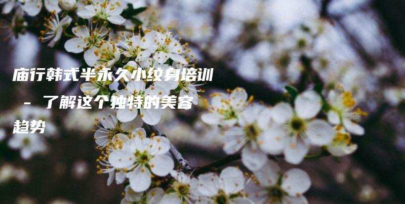 庙行韩式半永久小纹身培训 – 了解这个独特的美容趋势插图