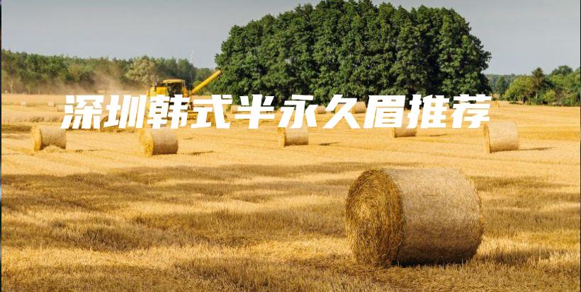深圳韩式半永久眉推荐插图