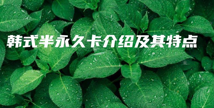 韩式半永久卡介绍及其特点插图