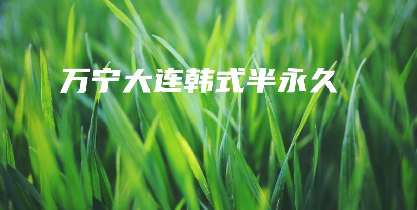万宁大连韩式半永久插图