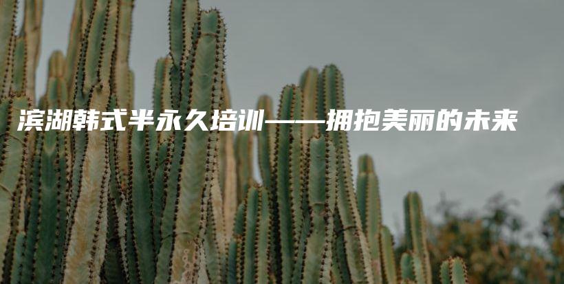 滨湖韩式半永久培训——拥抱美丽的未来插图