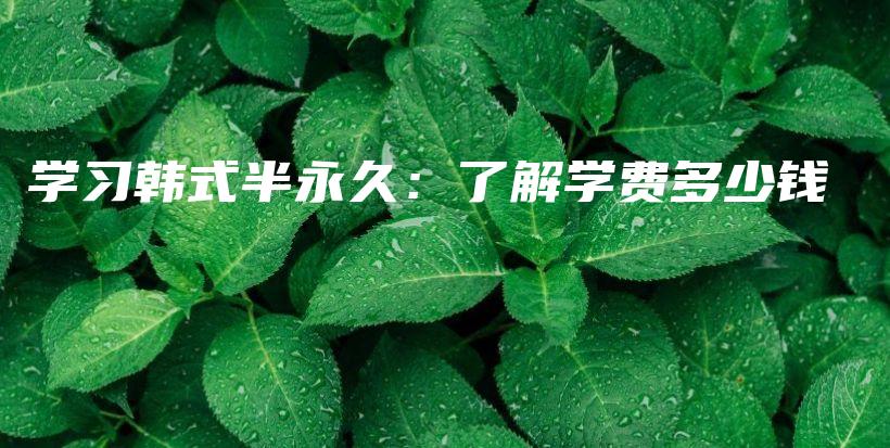 学习韩式半永久：了解学费多少钱插图