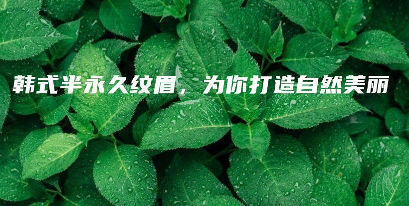 韩式半永久纹眉，为你打造自然美丽插图