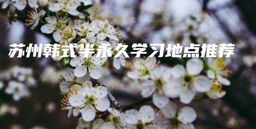 苏州韩式半永久学习地点推荐插图