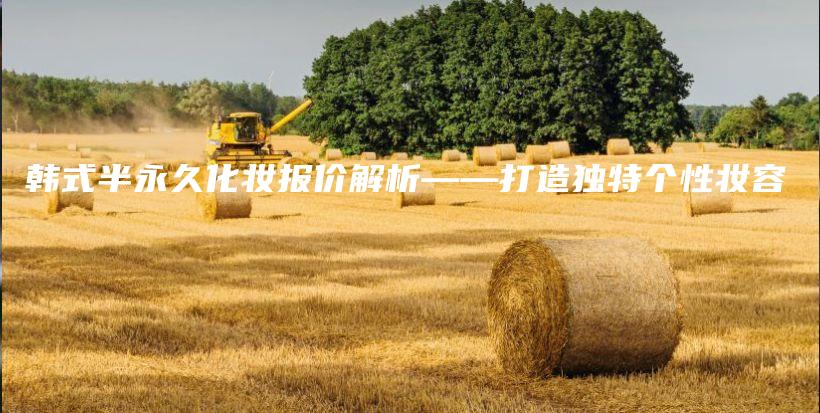 韩式半永久化妆报价解析——打造独特个性妆容插图
