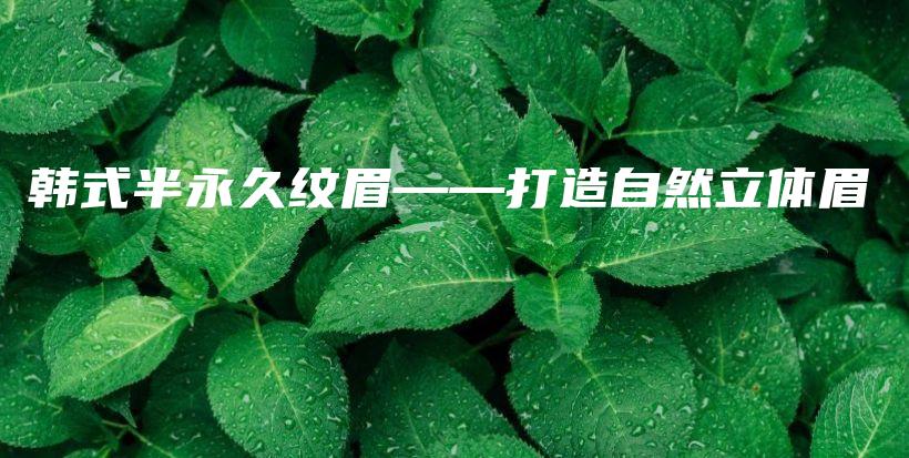 韩式半永久纹眉——打造自然立体眉插图