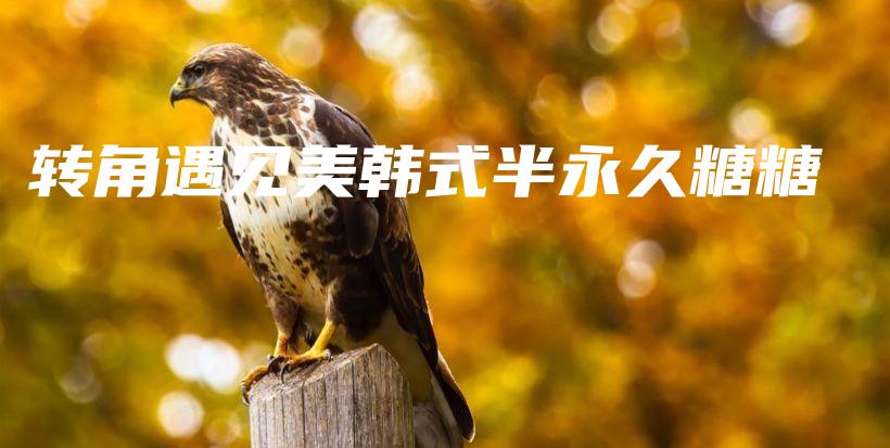 转角遇见美韩式半永久糖糖插图