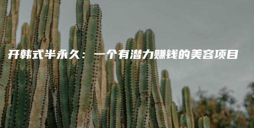 开韩式半永久：一个有潜力赚钱的美容项目插图