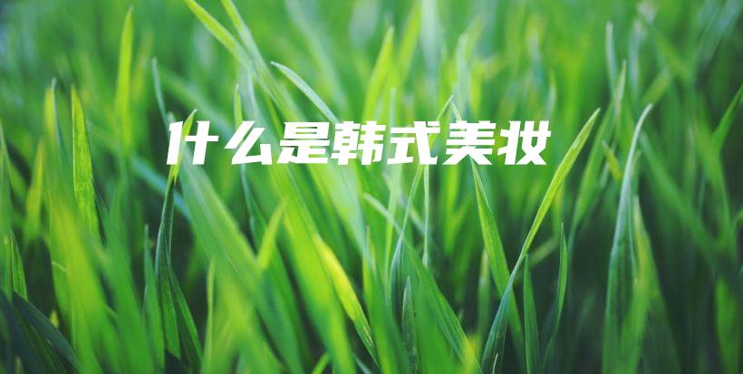 什么是韩式美妆插图