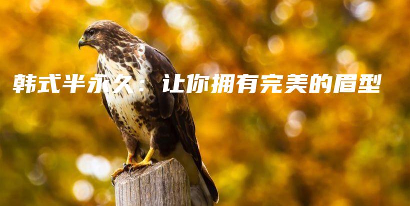 韩式半永久：让你拥有完美的眉型插图