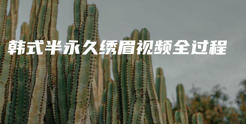 韩式半永久绣眉视频全过程插图