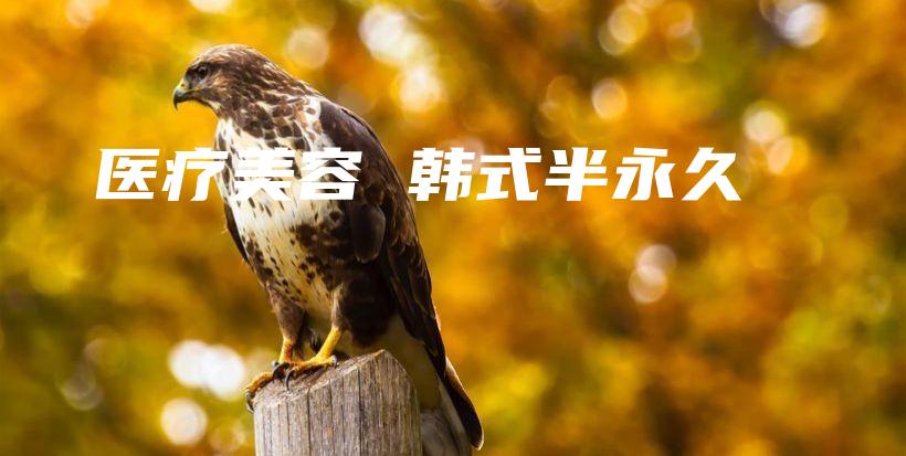 医疗美容 韩式半永久插图