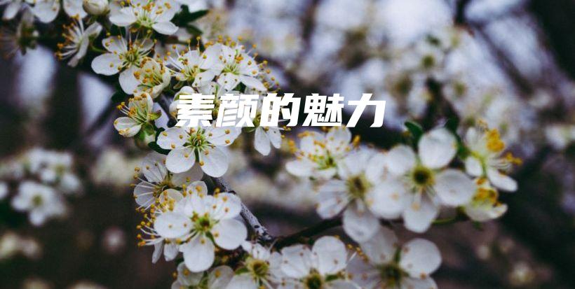 素颜的魅力插图