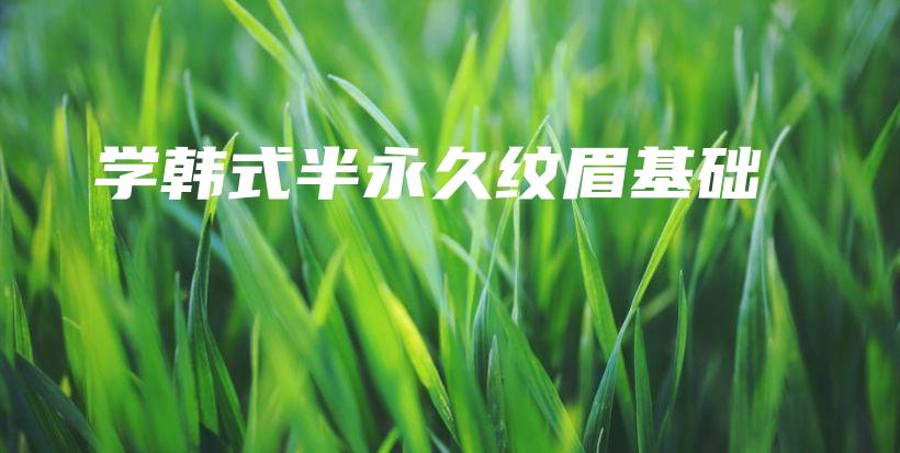 学韩式半永久纹眉基础插图