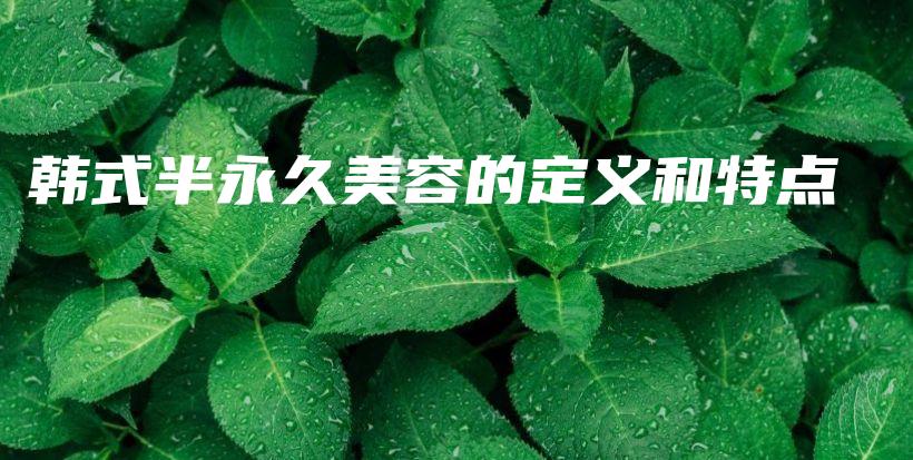 韩式半永久美容的定义和特点插图
