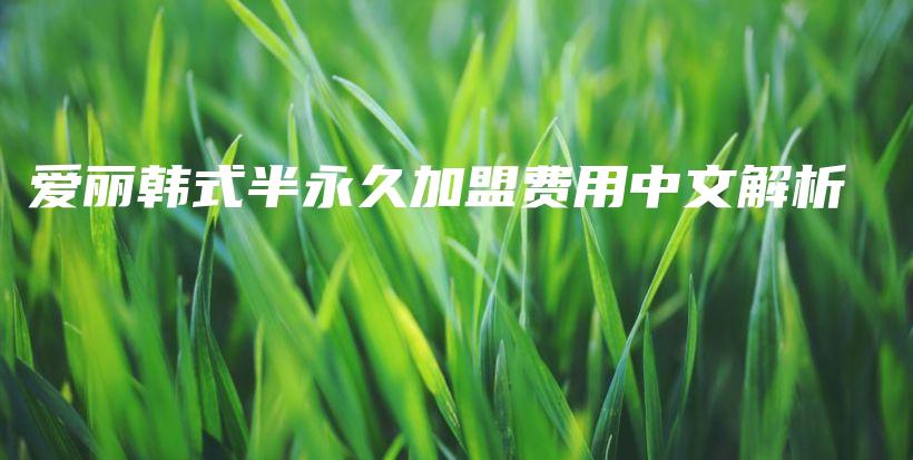 爱丽韩式半永久加盟费用中文解析插图