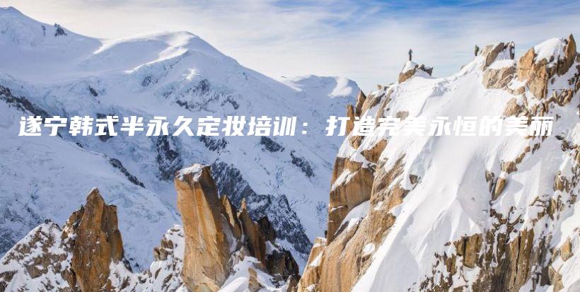 遂宁韩式半永久定妆培训：打造完美永恒的美丽插图