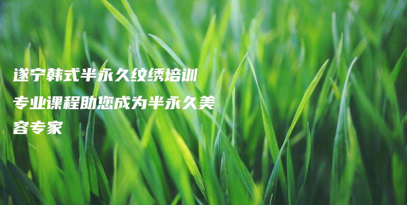 遂宁韩式半永久纹绣培训 专业课程助您成为半永久美容专家插图