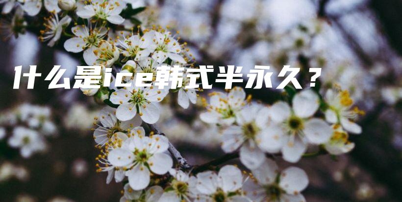 什么是ice韩式半永久？插图
