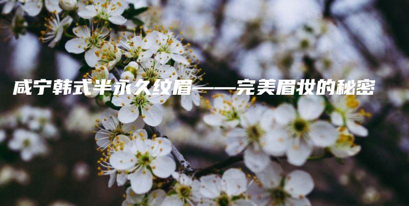 咸宁韩式半永久纹眉——完美眉妆的秘密插图