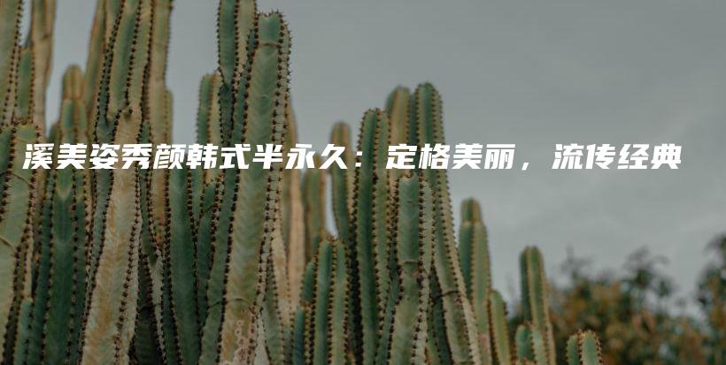 溪美姿秀颜韩式半永久：定格美丽，流传经典插图