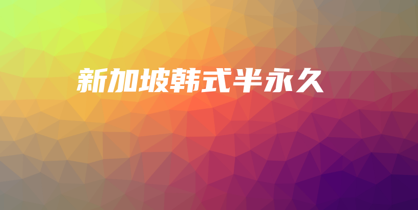 新加坡韩式半永久插图