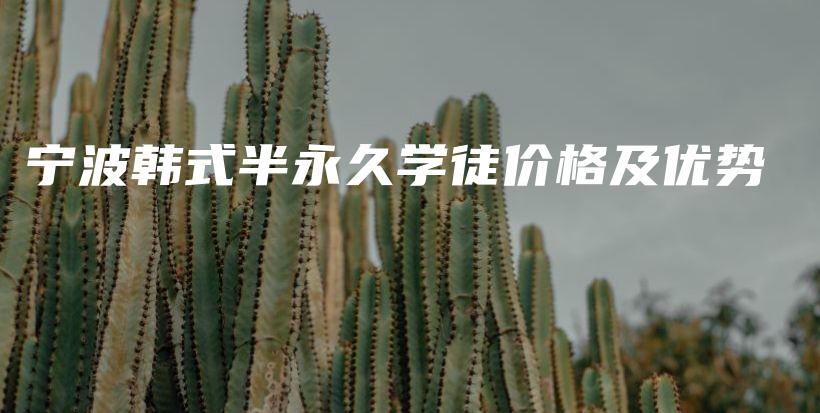 宁波韩式半永久学徒价格及优势插图