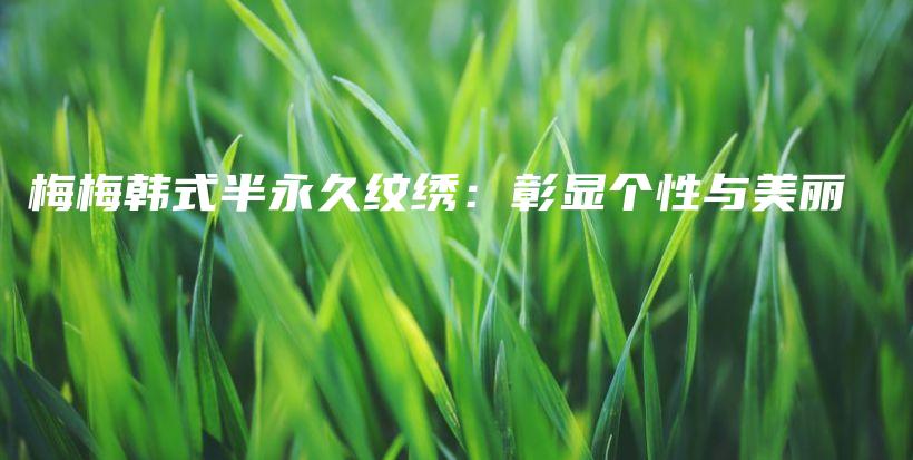 梅梅韩式半永久纹绣：彰显个性与美丽插图