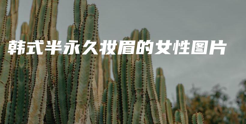 韩式半永久妆眉的女性图片插图