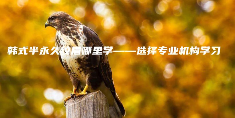 韩式半永久纹眉哪里学——选择专业机构学习插图