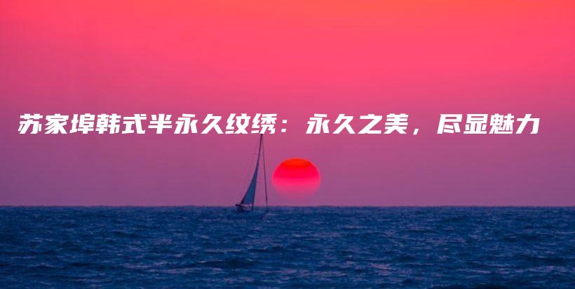 苏家埠韩式半永久纹绣：永久之美，尽显魅力插图