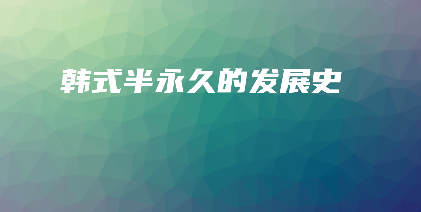 韩式半永久的发展史插图
