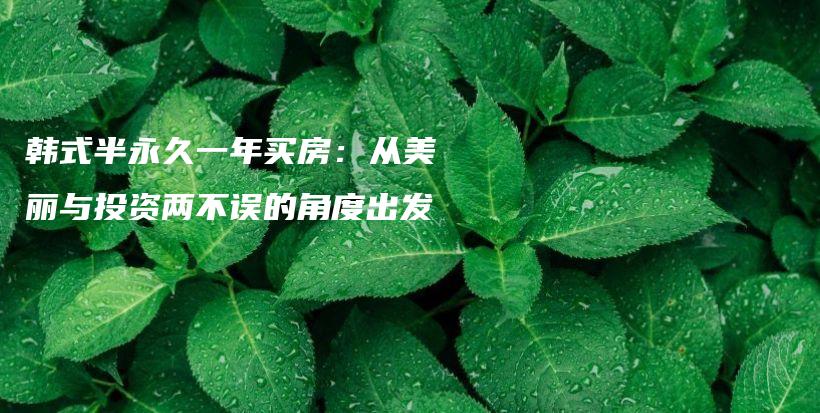 韩式半永久一年买房：从美丽与投资两不误的角度出发插图