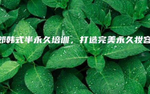 燕郊韩式半永久培训,打造完美永久妆容缩略图 燕郊韩式半永久培训,打造完美永久妆容