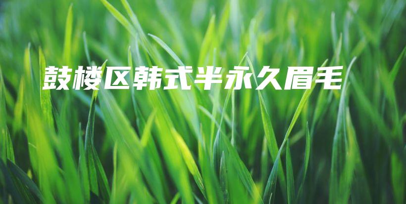 鼓楼区韩式半永久眉毛插图