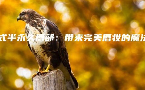 韩式半永久唇部：带来完美唇妆的魔法