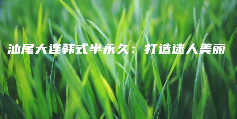汕尾大连韩式半永久：打造迷人美丽插图