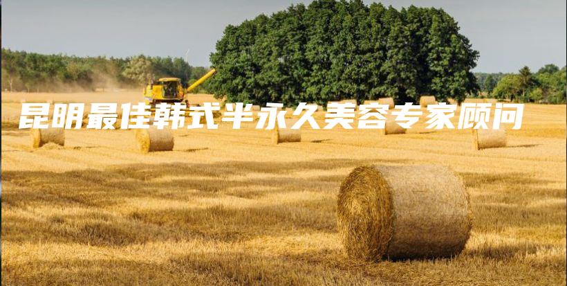 昆明最佳韩式半永久美容专家顾问插图