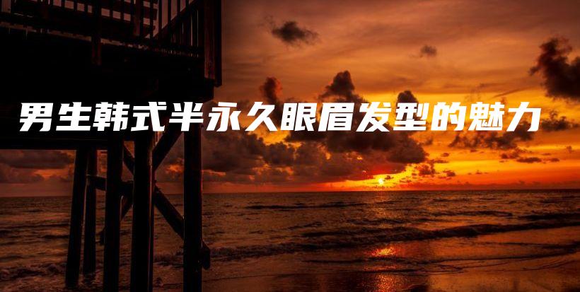 男生韩式半永久眼眉发型的魅力插图
