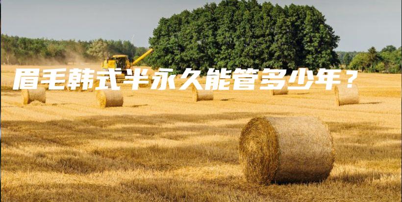 眉毛韩式半永久能管多少年？插图