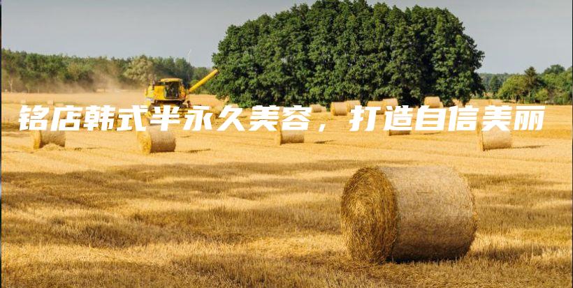 铭店韩式半永久美容，打造自信美丽插图
